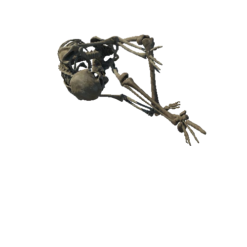 SM_Skeleton_Pose_02_LOD0