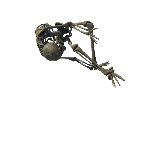 SM_Skeleton_Pose_02_LOD5