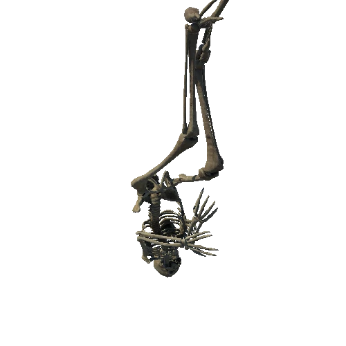 SM_Skeleton_Pose_03_LOD3