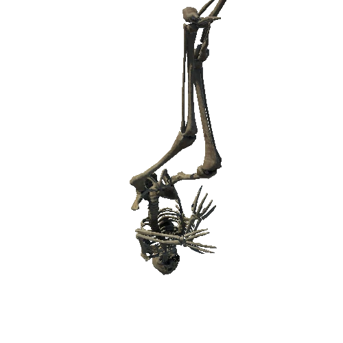 SM_Skeleton_Pose_03_LOD5