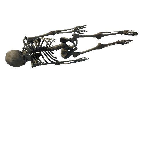 SM_Skeleton_Pose_04_LOD0