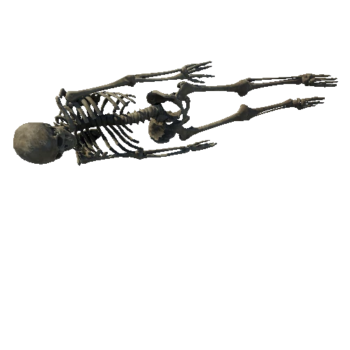 SM_Skeleton_Pose_04_LOD1