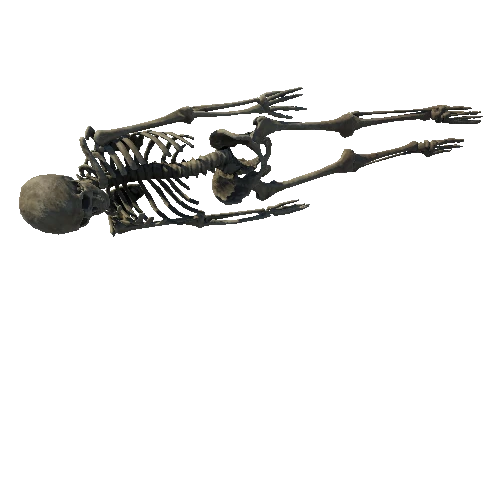 SM_Skeleton_Pose_04_LOD2