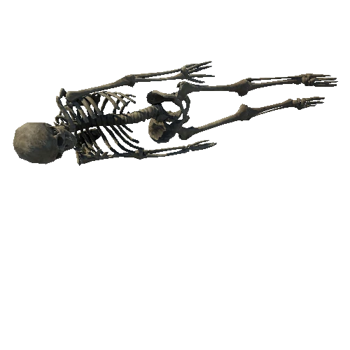 SM_Skeleton_Pose_04_LOD4