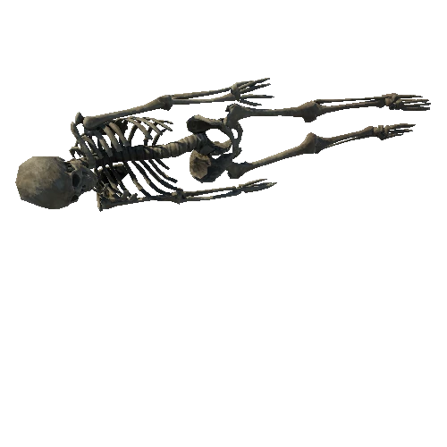 SM_Skeleton_Pose_04_LOD5