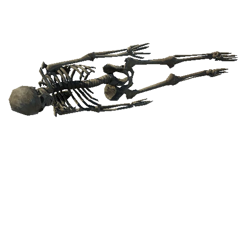 SM_Skeleton_Pose_04_LOD6