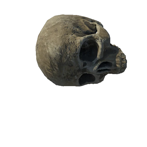 SM_Skeleton_Skull_01_LOD2