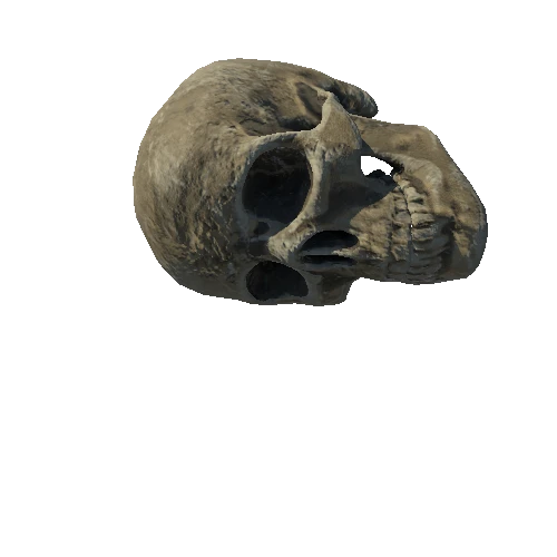 SM_Skeleton_Skull_02_LOD1