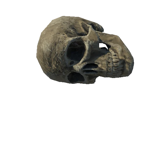 SM_Skeleton_Skull_02_LOD4