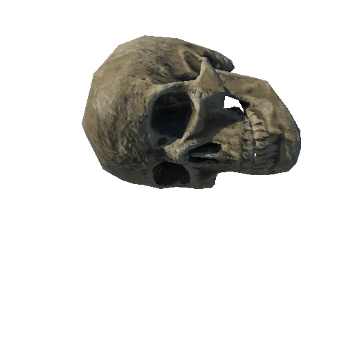 SM_Skeleton_Skull_02_LOD5