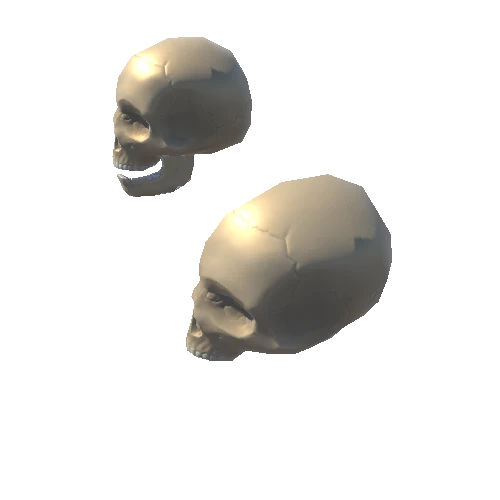 uploads_files_969661_SKULL