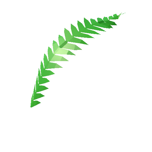 Jungle_fern_leaf