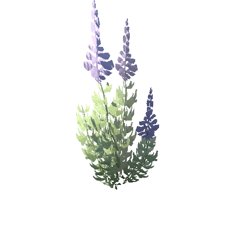 SM_Plant_PurpleFlower_01