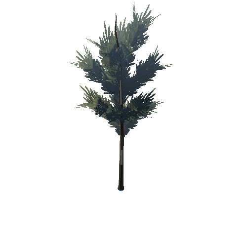 SM_Tree_Birch_04