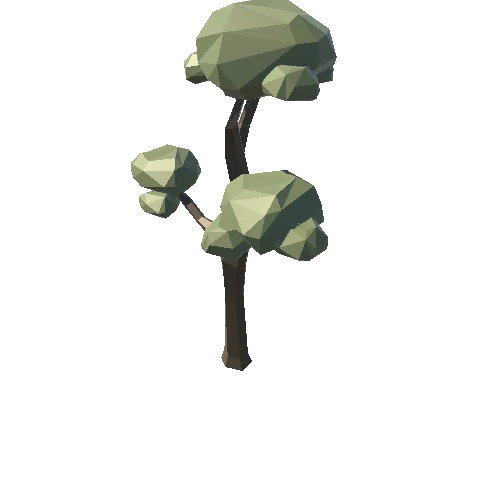 SM_Tree_TallRound_01